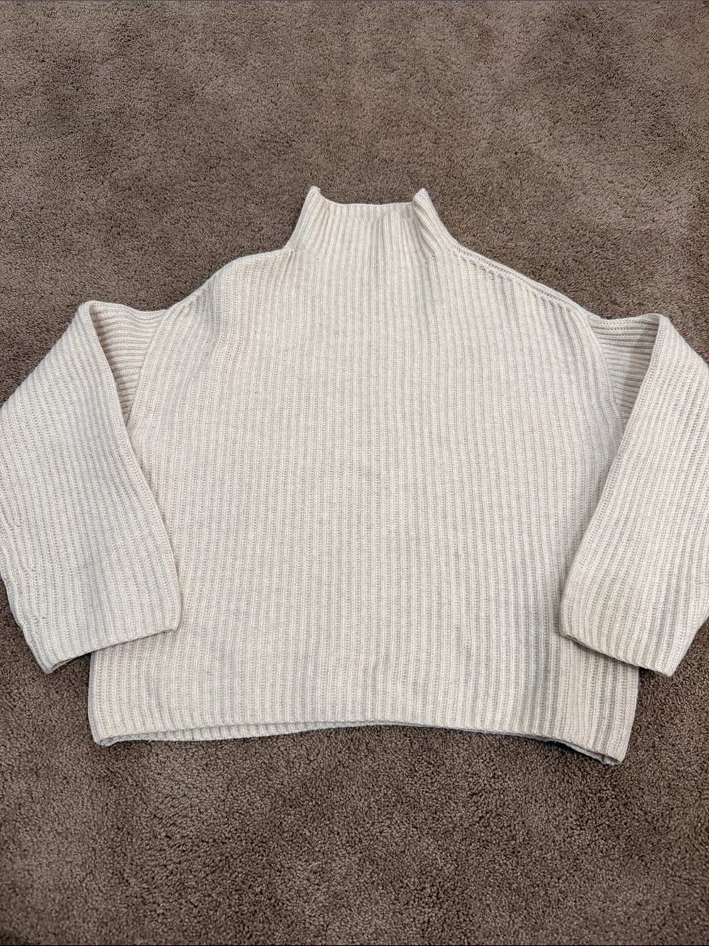 Everlane Cream Ribbed Turtleneck Pullover with wide sleeves